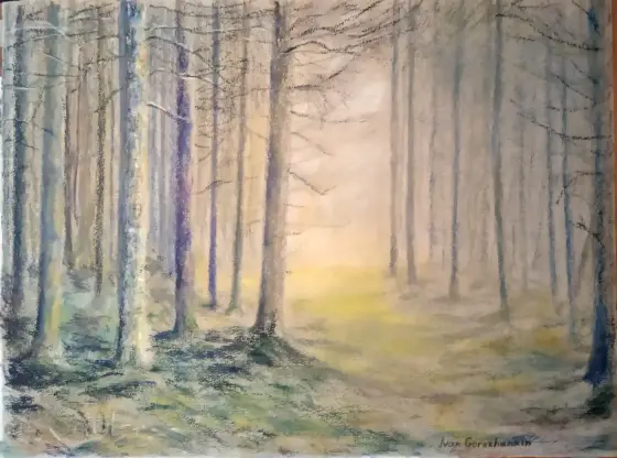 Tallskog i Värmland thumbnail 2