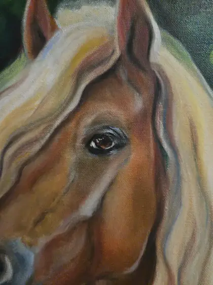 Palomino i Sommarljus thumbnail 3