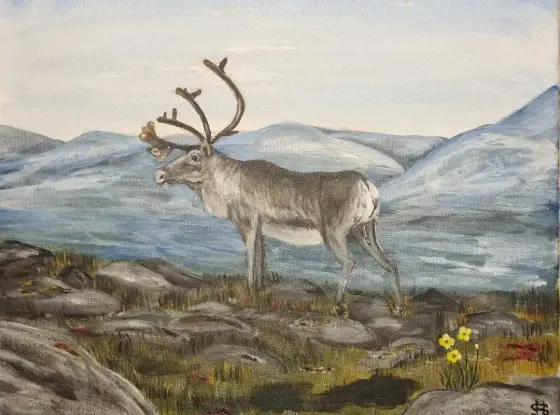 Ren i Fjällandskap - Akryl af Håkan Siggemo